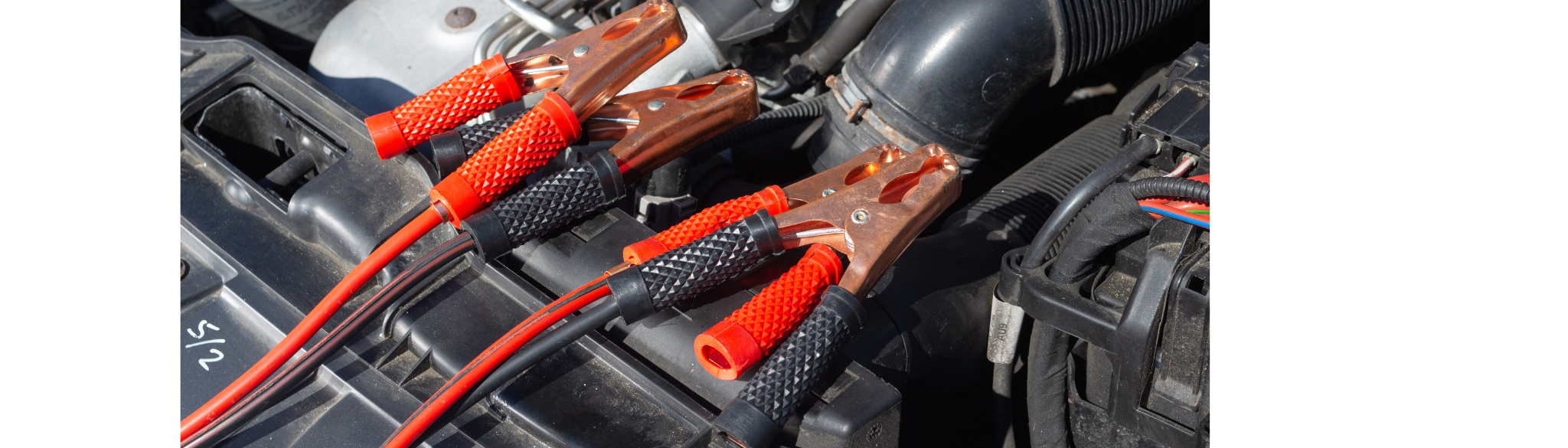 Why Do Batteries Go Flat Sciencing vrogue.co